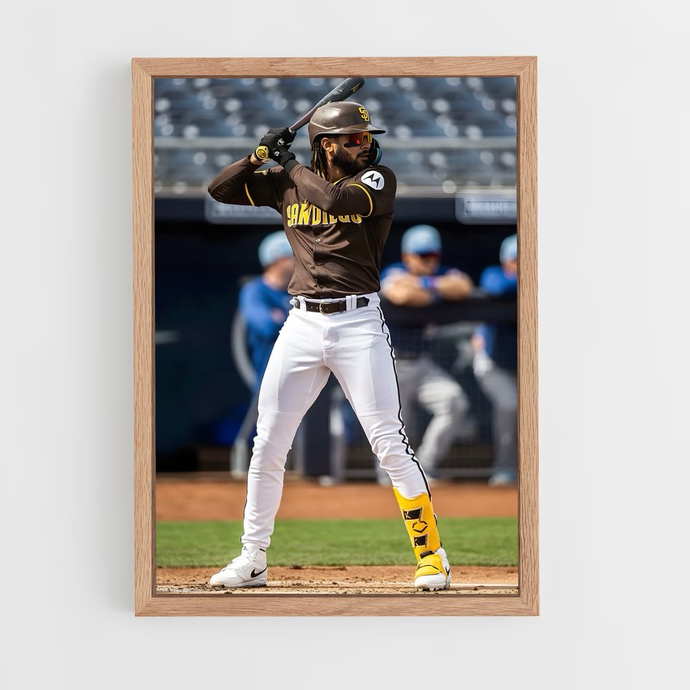 Poster Fernando de tatis – affiche Baseball (vue 4)